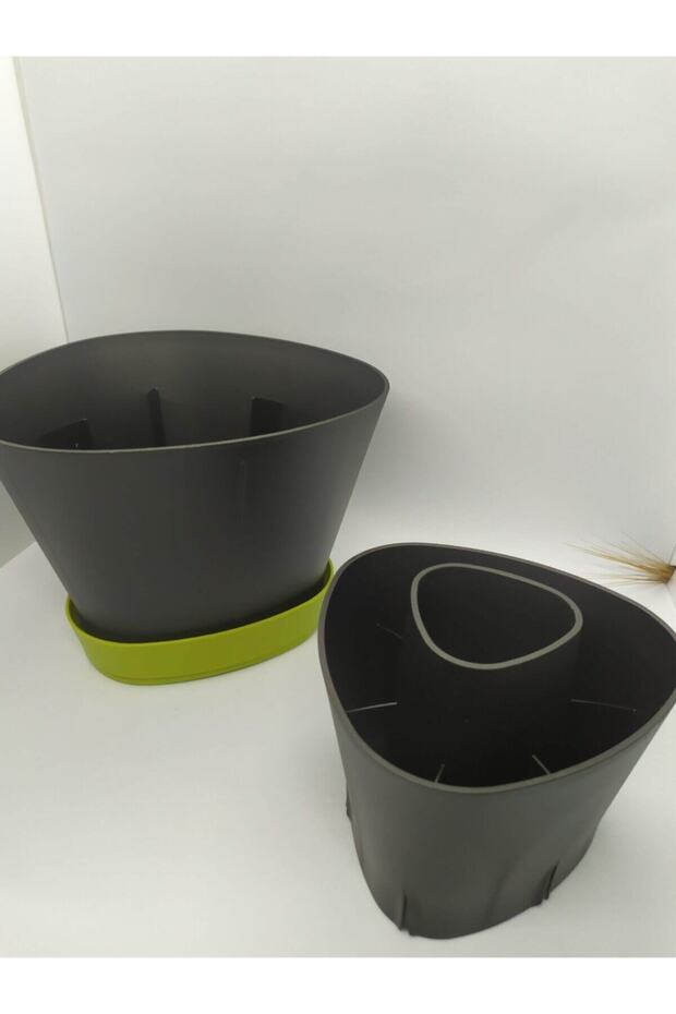 Siyah Peri Kutu Kaşıklık - 2