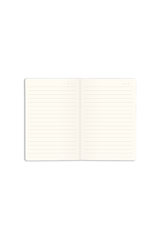 Set of 4 Pocket Notebooks Striped Daisy Rainbow Abstract - 8