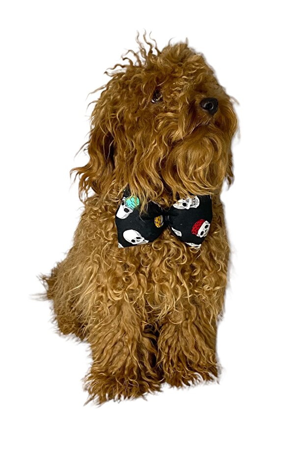 Adjustable Cat Dog Bow Tie Skull - 2