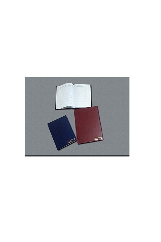 Safe Book 17x24 320 Sheets