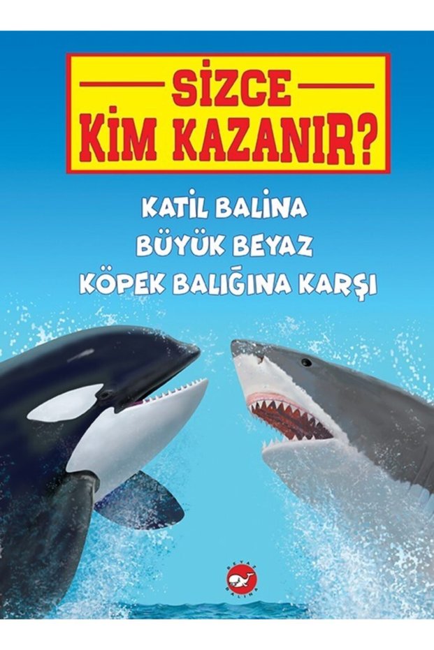Killer Whale Vs Great White Shark - Who Wins You?