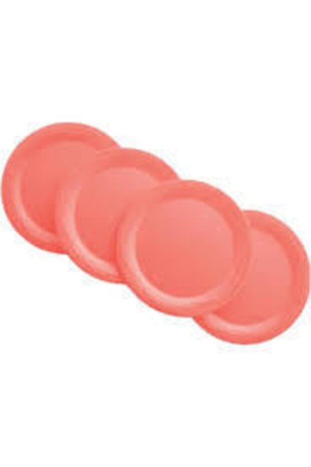 Piknik Tabakları 4'lü - 1