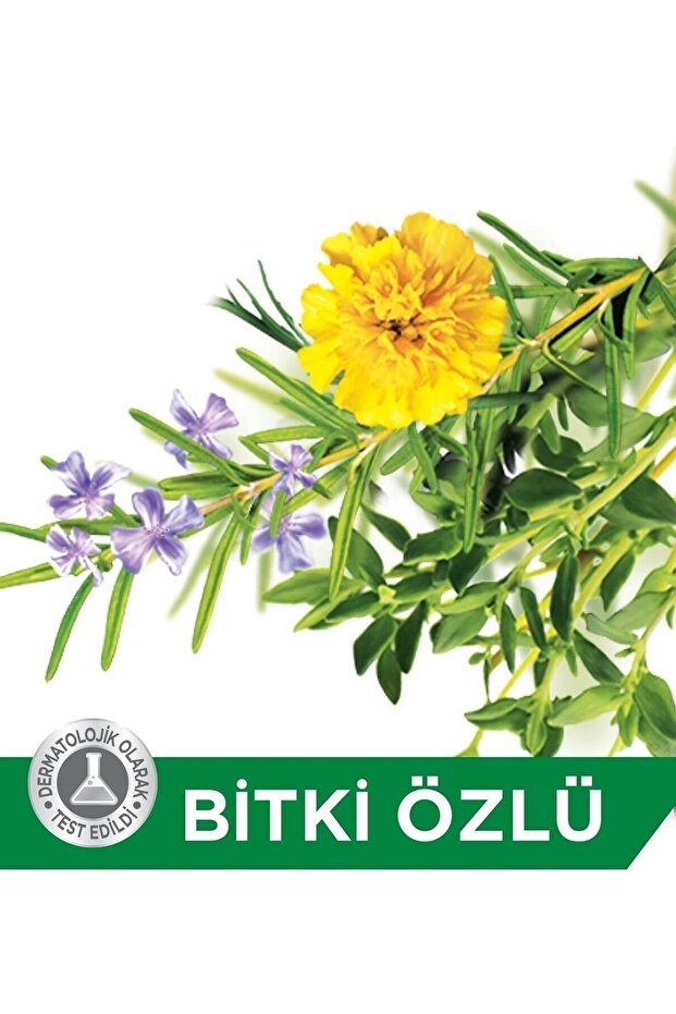 Katı Sabun Herbal 90 gr - 3