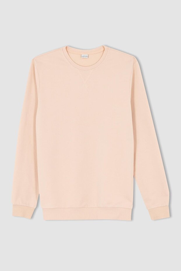 Regular Fit Sweatshirt - 6