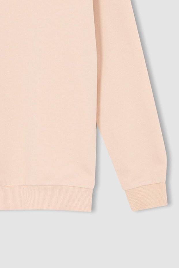 Regular Fit Sweatshirt - 8