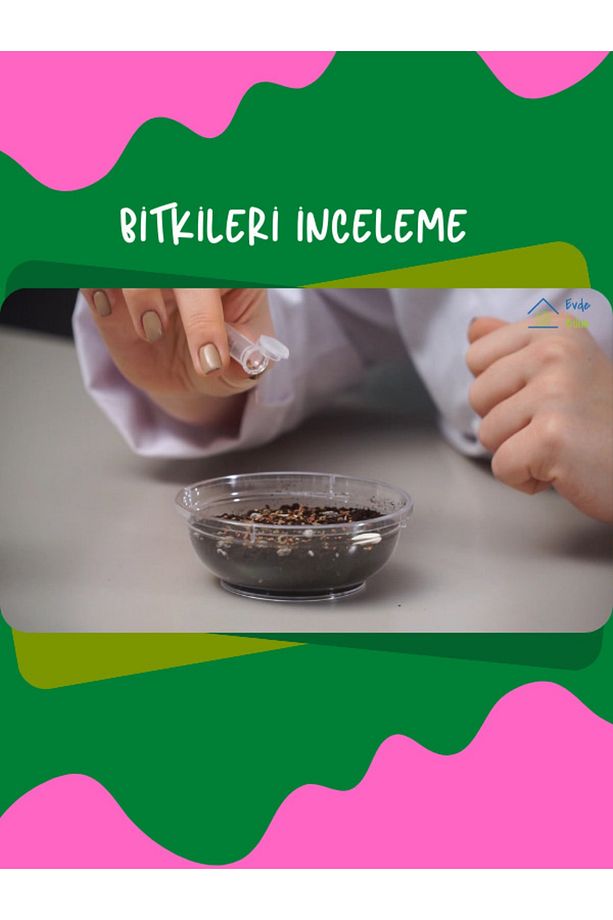 Deneyim Kutusu – Doğa Atölyesi Deney Seti - 5