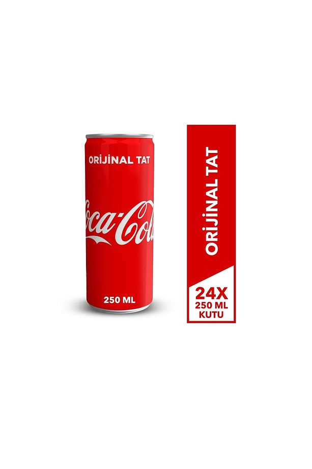 250 ml Kutu, 24'lü Paket - 1
