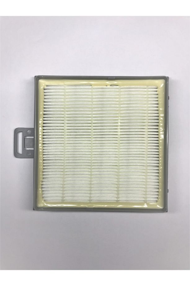 Bsg 82422 Ergomaxx'x Hepa Filtre - 2