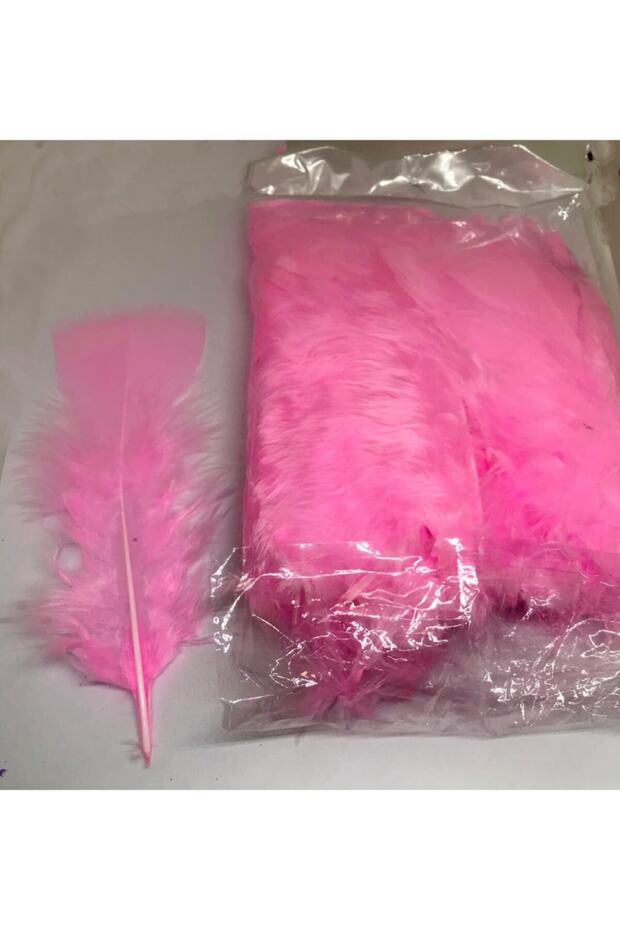 100 Pieces of Feather (dimensions 7 - 10 Cm)