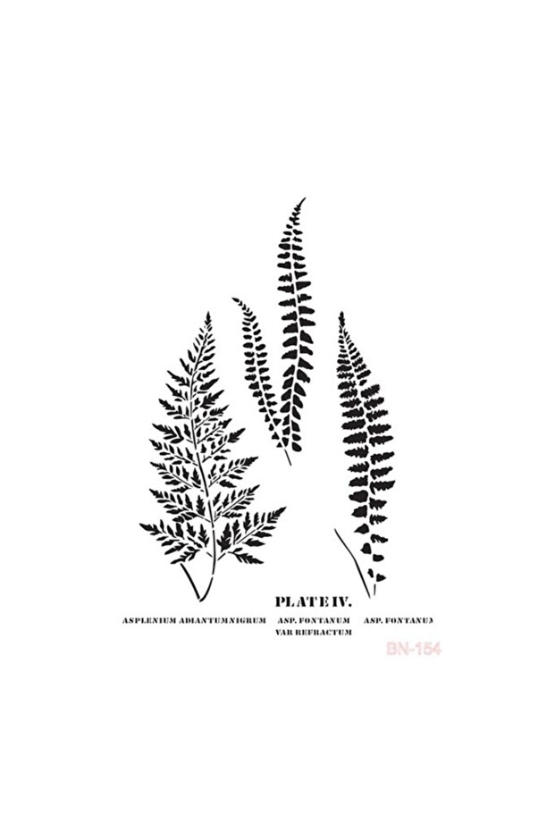 استنسل سلسلة 25x35 Bn Bn-154
