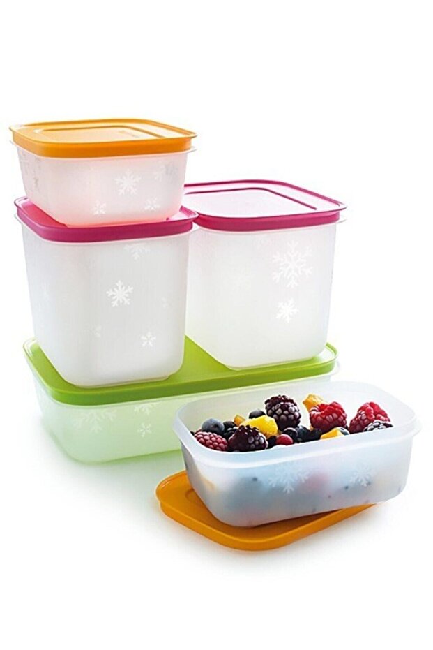 Alaska Series Deep Freezer Storage Container Set of 5 - 3