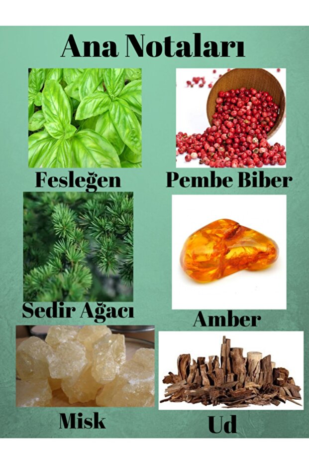 Vent D' Aventures Edt 50 ml Erkek Parfümü 548754541451 - 2