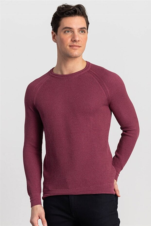 Men's Slim Fit Narrow Cut Crew Neck Self Patterned Sweater