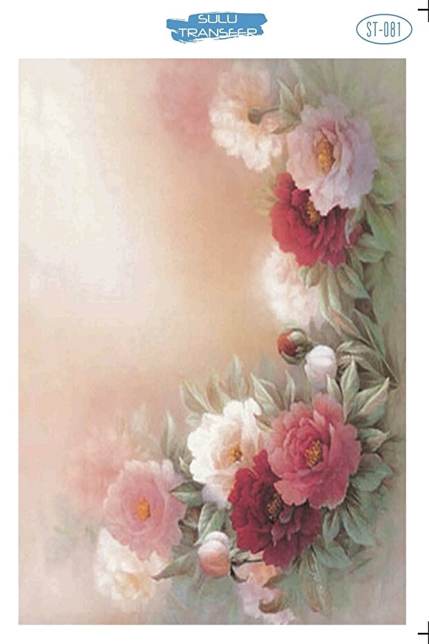 نقل مائي 25*35 سم Stb-81