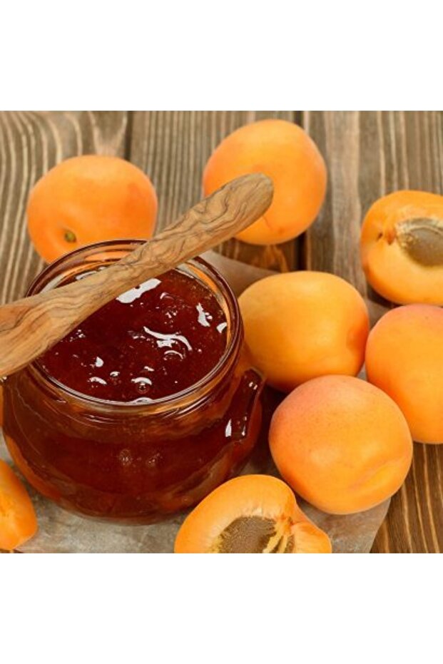 Kayısı Reçeli - 3