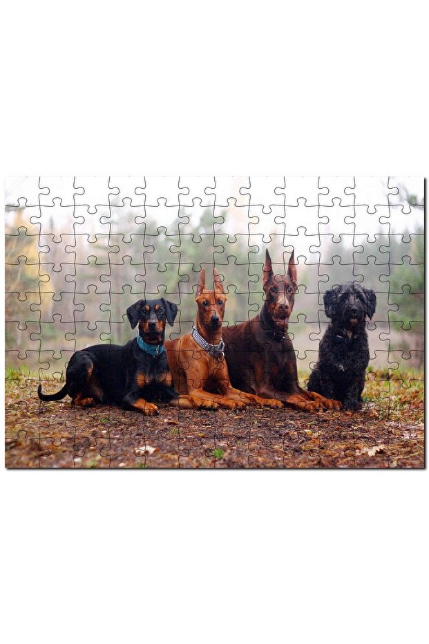 4 Dogs on Autumn Leaves 500 Piece Puzzle Jigsaw Puzzle Mdf (wood)