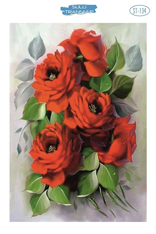 نقل مائي 25*35 سم Stb-134
