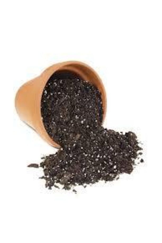 Torf Bitki - Çiçek Toprağı 10 Lt - 5