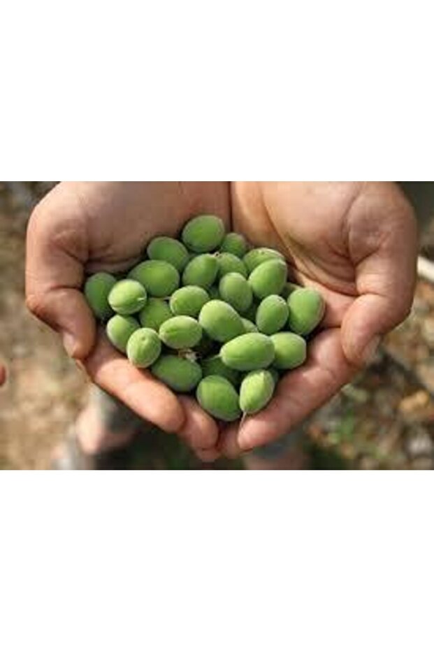 Çağlası 500gr - 2