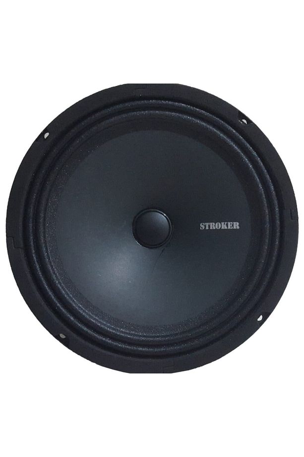 20cm Neodyum Midrange 100rms - 1