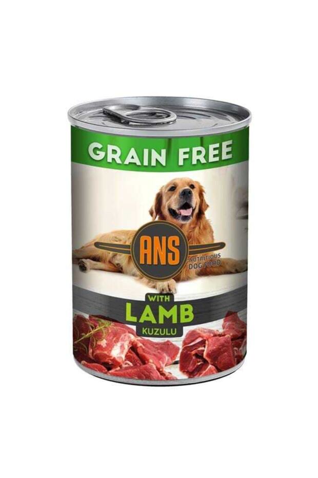 Fosforlu Kamuflaj Medium Köpek Göğüs + Gezdirme Takım Tasma Kahve Konserve + Ödül Kemiği 1+1+1+1+2 - 4