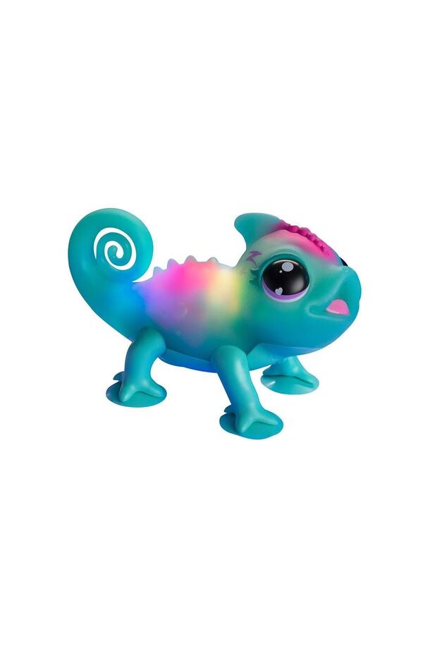 Işıklı Bukelamun - 2