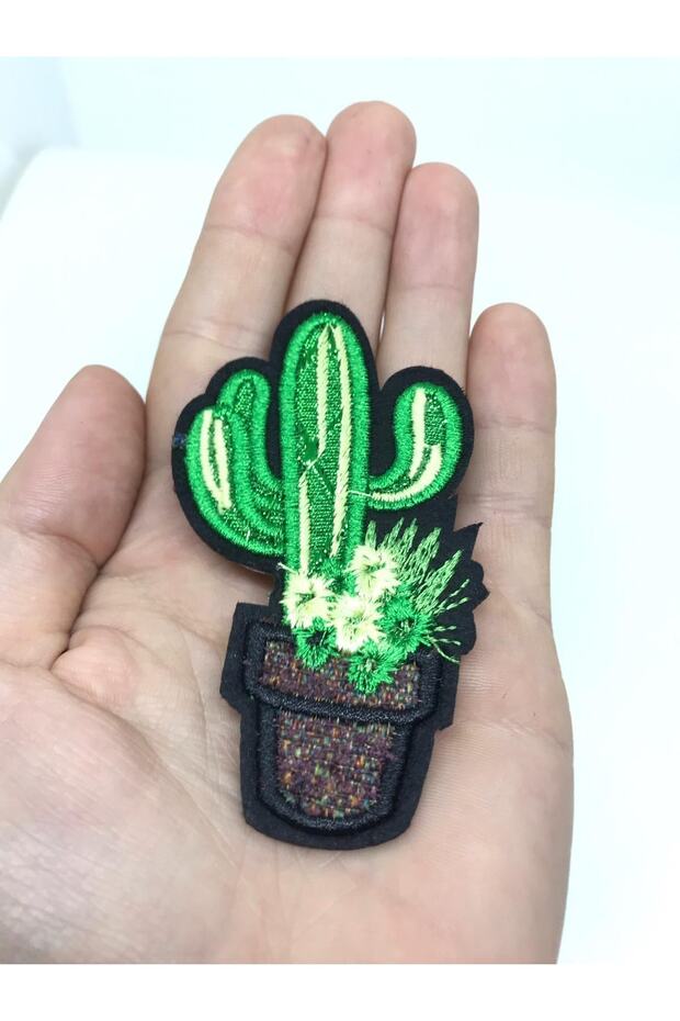 Cactus Model 1 Arma - 1