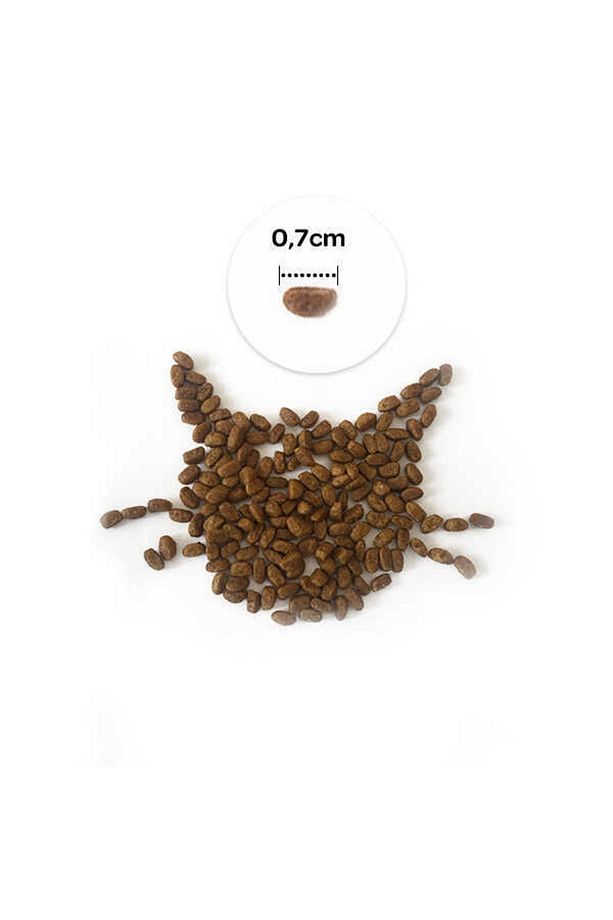 Selection Sterilised Düşük Tahıllı Somonlu Ve Karidesli Kısırlaştırılmış Kedi Maması 2 Kg - 4