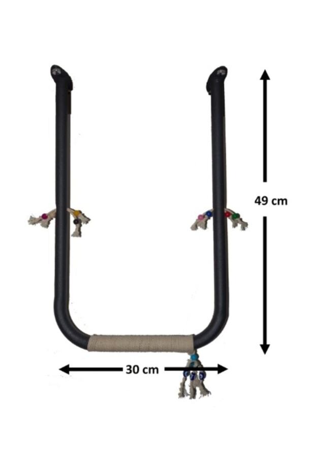 جثم سقف الببغاء - 3