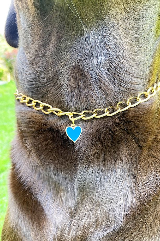Köpek Boyun Tasması Köpek Tasması Mavi Kalp Detaylı Ayarlanabilir Köpek Kolyesi Gold Zincir - 2