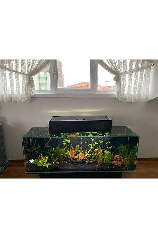 Fluval Edge Full Takım - 3