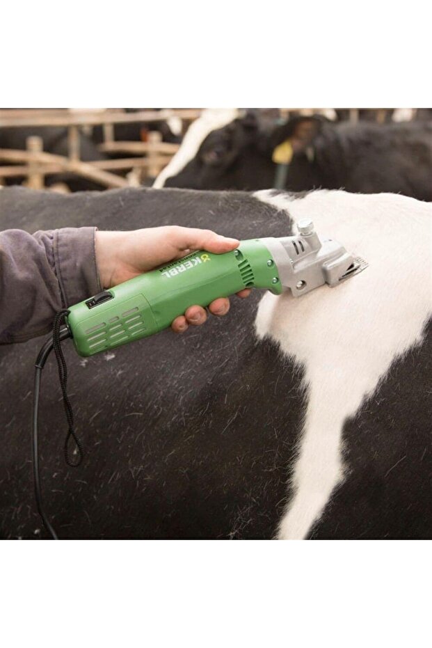 Tıraş Mak.constanta 4 - 3