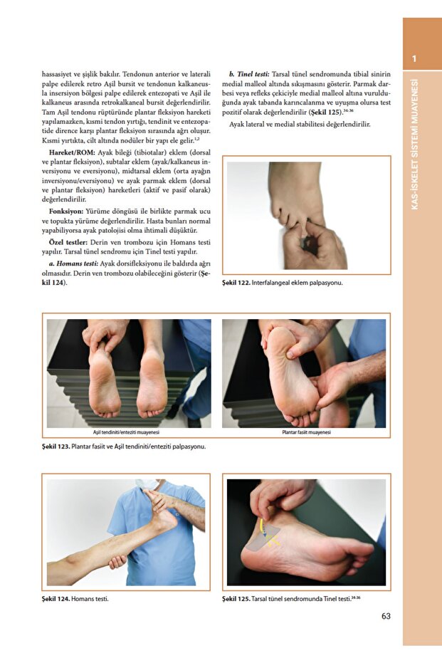 Klinik Romatoloji - 4