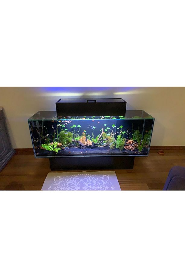 Fluval Edge Full Takım - 2