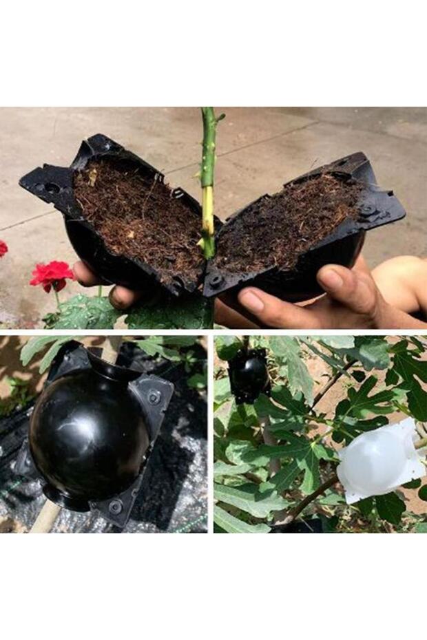 Bitki Köklendirme Topu 80 Mm 12 Adet - 1