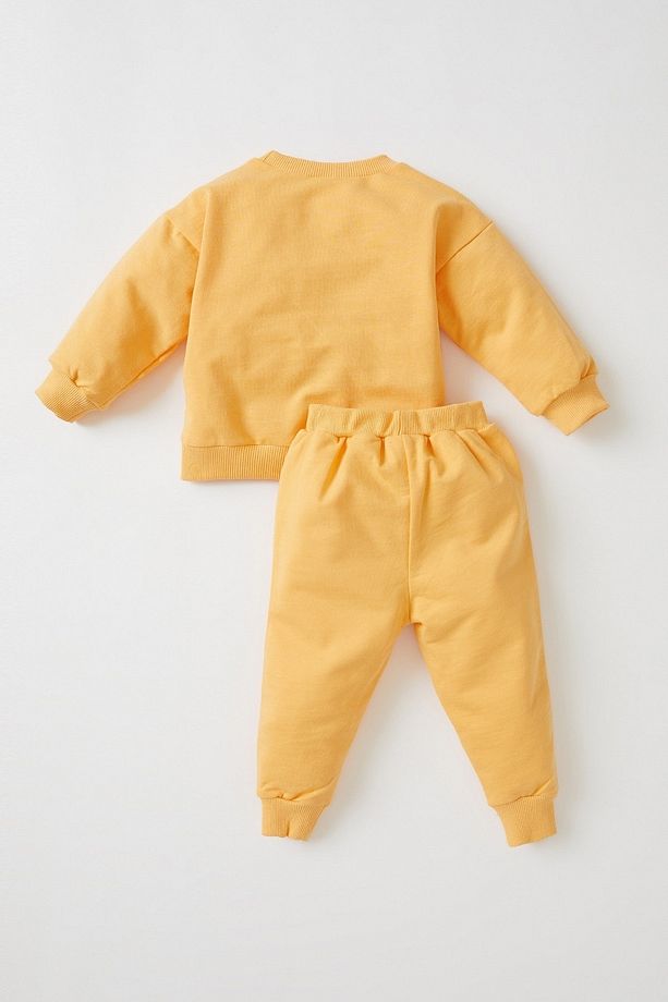 Kız Bebek Regular Fit Bisiklet Yaka Uzun Kollu Ince Kumaş 2'li Knitted Set - 8