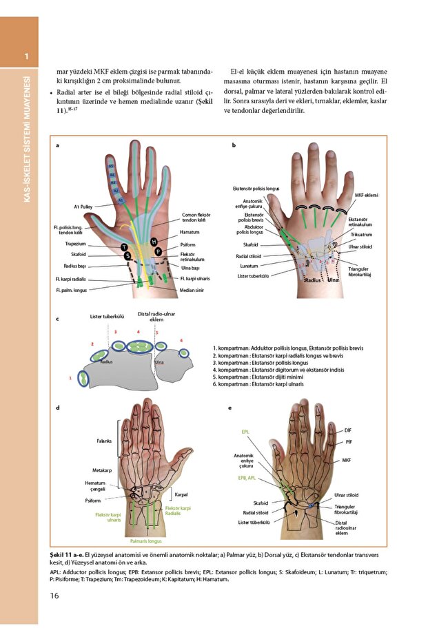 Klinik Romatoloji - 3