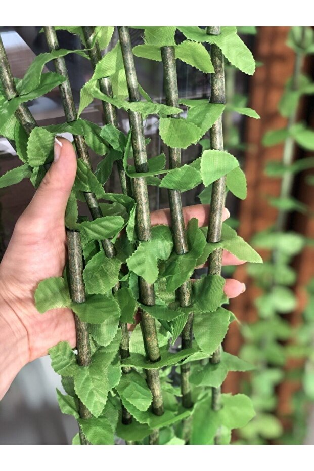 Bambu Kapı Perdesi - 2