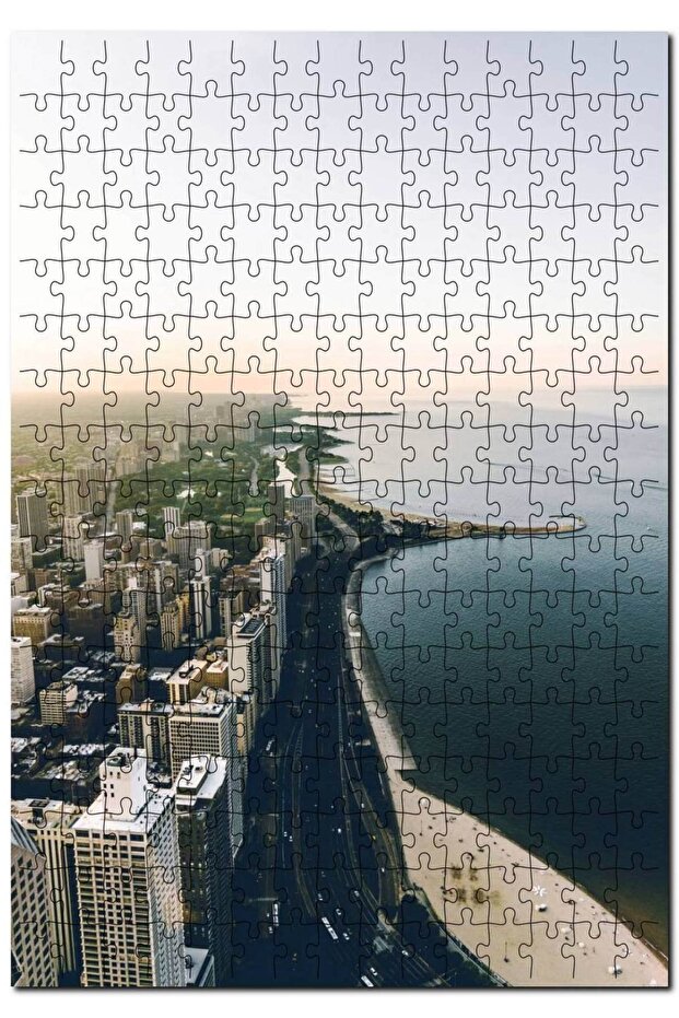 Chicago Seaside City 255 Piece Puzzle Jigsaw Puzzle Mdf (WOOD)