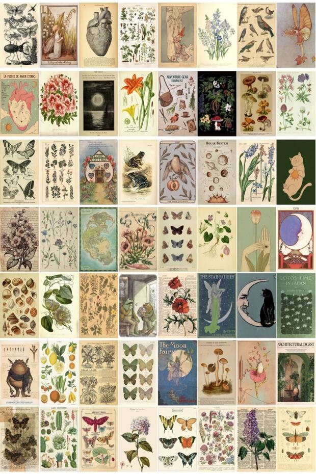 Vintage Botanical 60' Lı Duvar Posteri Seti - 1