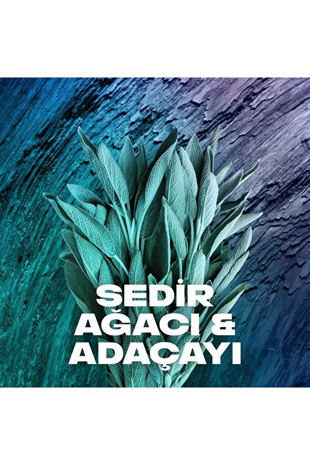 Erkek Deodorant & Bodyspray Apollo 48 Saat Etkileyici Koku 150 Ml 2 Adet - 8