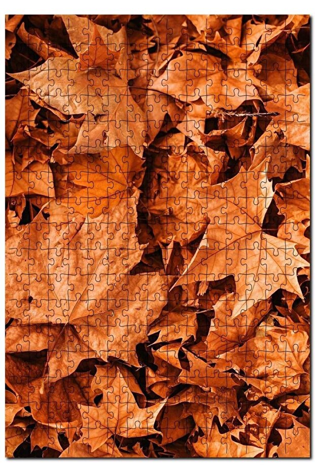 Dry Autumn Leaves on the Floor 500 Piece Puzzle Jigsaw Puzzle Mdf (WOOD)