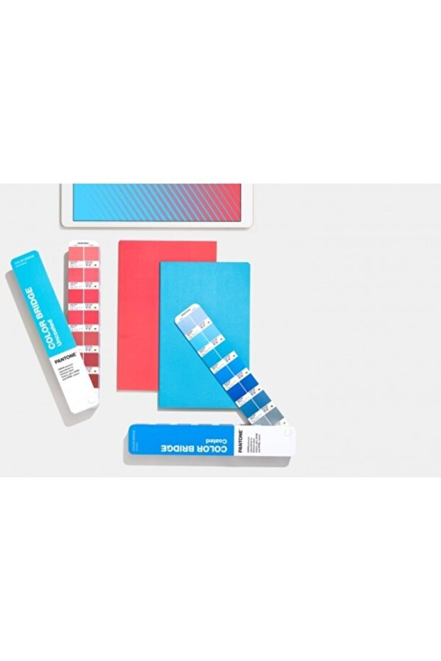 Color Bridge Guide Set Coated & Uncoated