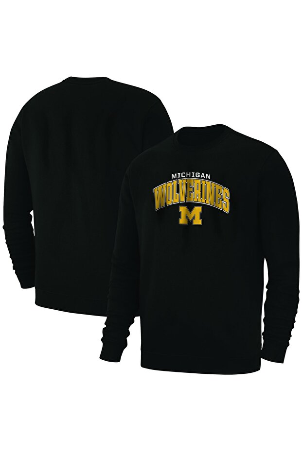 Michigan Wolverines Basic - 1