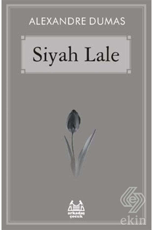 Siyah Lale