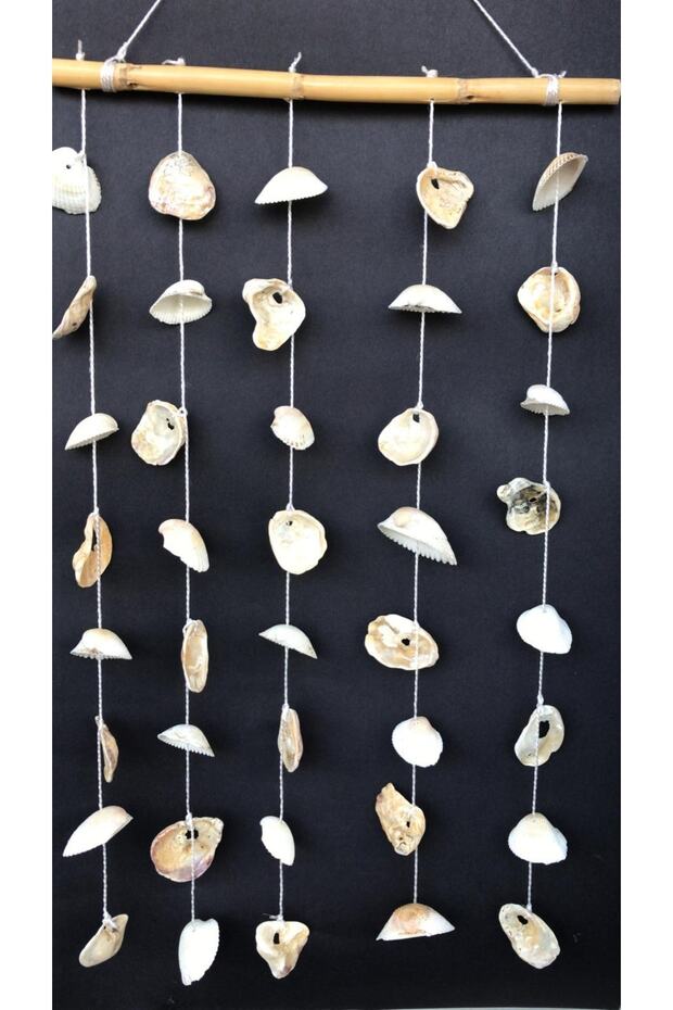 شقة الرياح الرنين صدف أذن البحر - 3