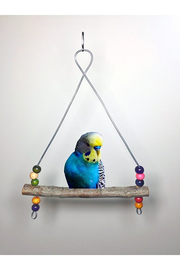 Budgie Natural Swing