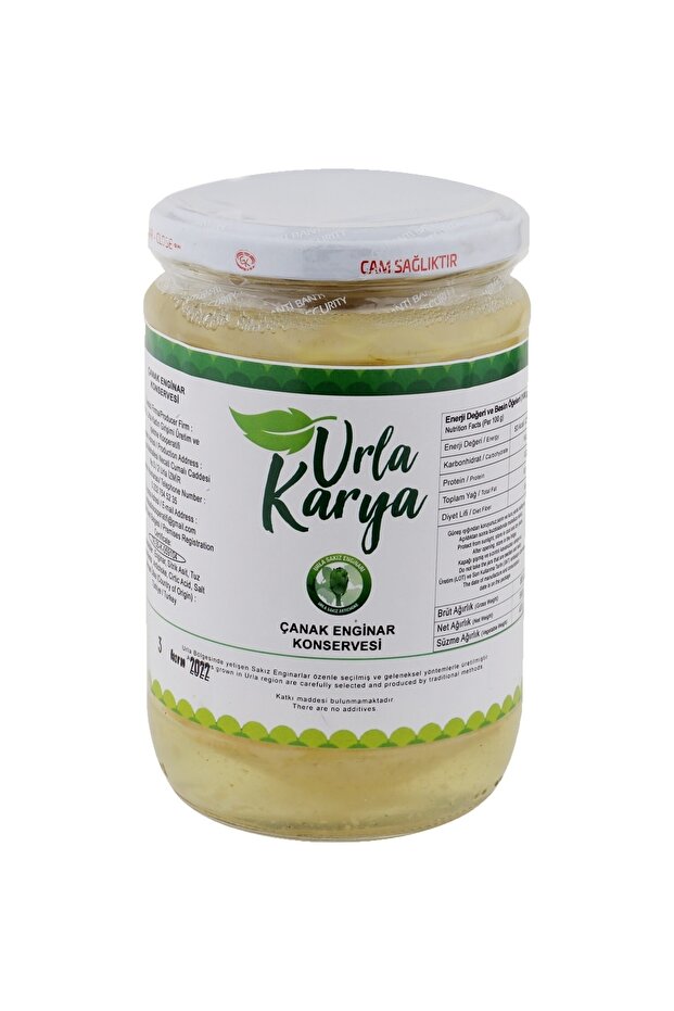 Çanak Enginar Konservesi - 1