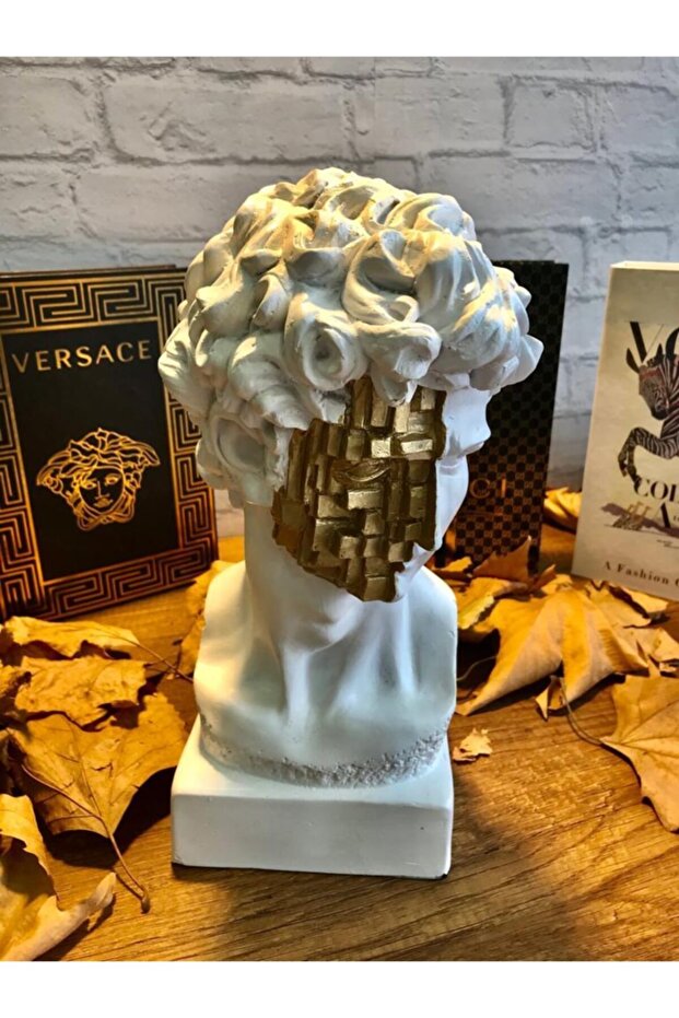 David Büst Biblo - 2