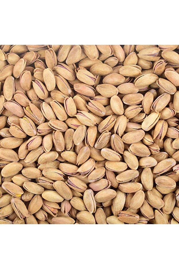 2kg Fıstık